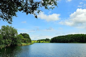 Fotos vom Wuhrmühleweiher