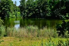 Schlingsee