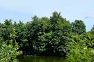 Schlingsee