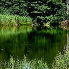 Schlingsee