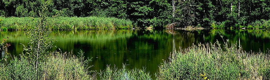Schlingsee Headmotiv