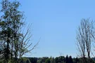 Lautersee