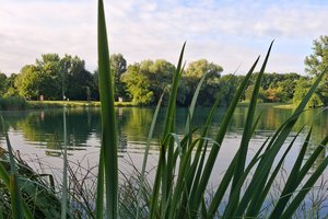 Fotos vom Birkensee
