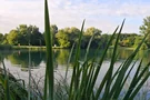 Birkensee 