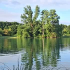 Birkensee