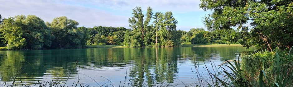 Birkensee Headmotiv