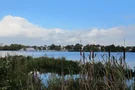 Außenalster Head