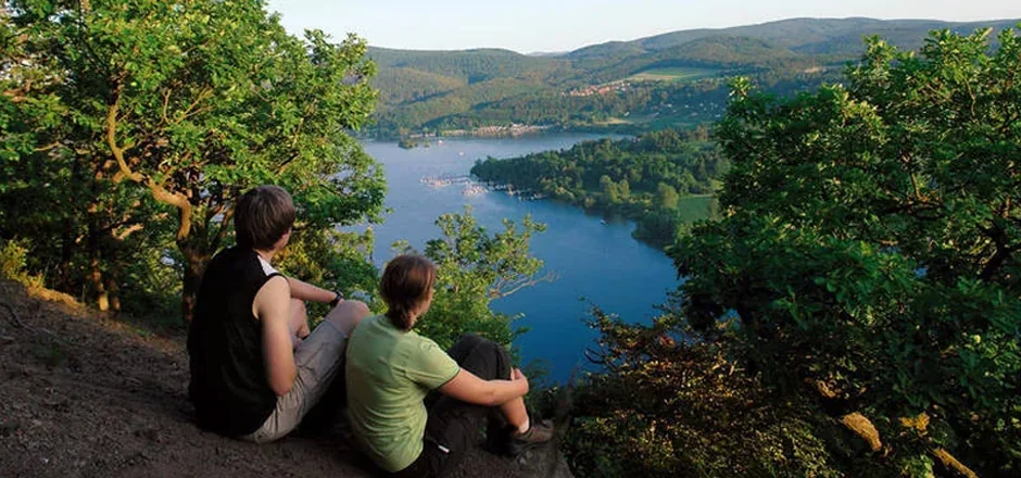 Wildnis in Deutschland erleben