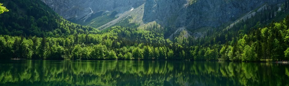 Hinterer Langbathsee Headmotiv