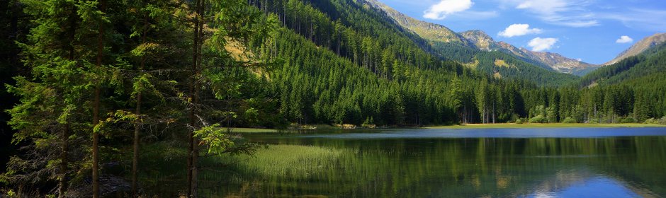 Ingeringsee Headmotiv