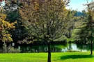 Singenberger Weiher