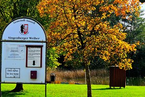 Fotos vom Singenberger Weiher
