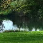 Singenberger Weiher