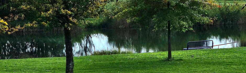 Singenberger Weiher Headmotiv
