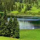 Sackwiesensee