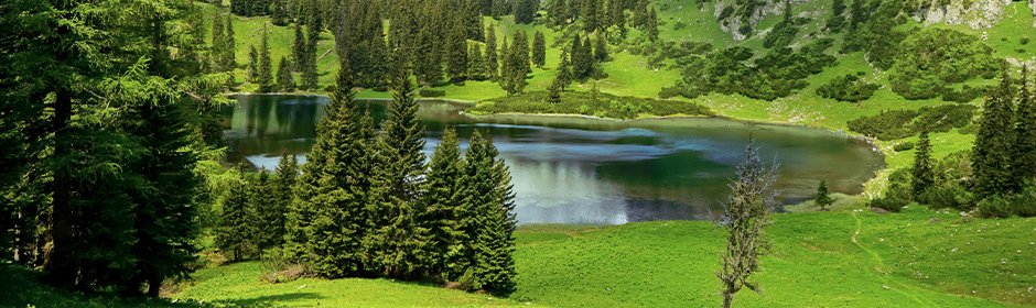 Sackwiesensee Headmotiv