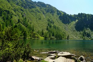 Fotos vom Großer Scheibelsee
