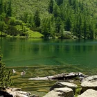 Großer Scheibelsee