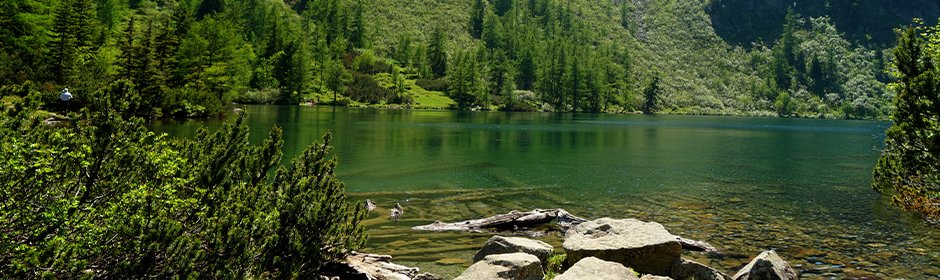 Großer Scheibelsee Headmotiv