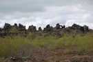 Dimmuborgir Lavafelder, Foto: Alf Igel Dimmuborgir Lavafelder
