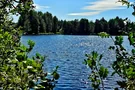 Brunner Weiher , Foto: Eva Zitzl Brunner Weiher
