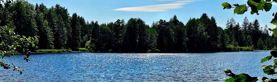 Brunner Weiher Headmotiv