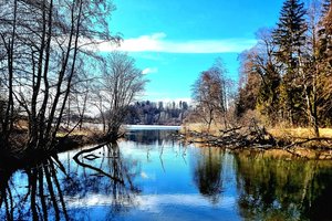 Fotos vom Stadtweiher Leutkirch im Allgäu Fotos vom Stadtweiher Leutkirch im Allgäu