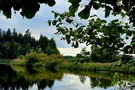 Roterweiher, Foto: Eva Zitzl Roterweiher