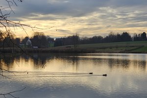 Fotos vom Aiweiher Fotos vom Aiweiher
