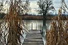 Olzreuter See - Steg mit Schilf
