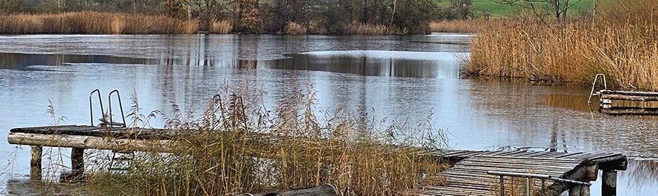 Olzreuter See Headmotiv