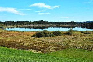 Fotos vom Großer Ursee