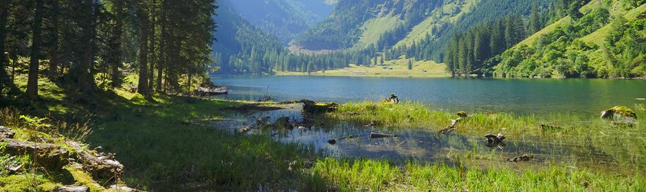 Schwarzensee Headmotiv