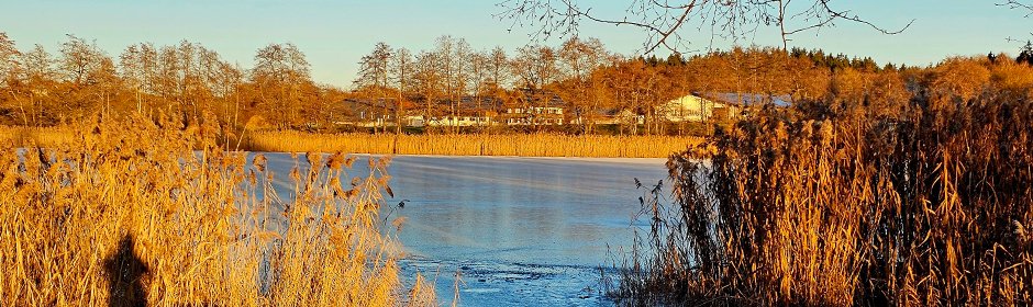 Metzisweiler Weiher Headmotiv