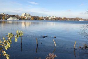 Fotos von der Außenalster Fotos von der Außenalster