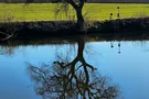 Burgweiher Spiegelung, Foto: Eva Zitzl Burgweiher Spiegelung