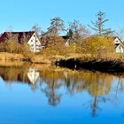 Burgweiher Burgweiher