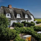 Stand Up Paddling auf dem Starnberger See