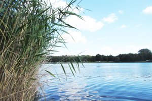 Fotos vom Sonnensee