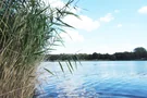 Blick vom Ufer auf den Sonnensee