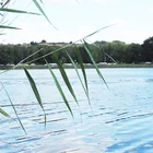 Sonnensee