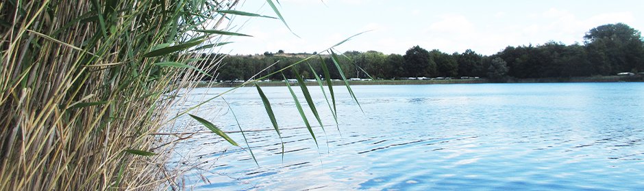 Sonnensee Headmotiv