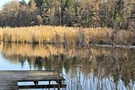 Egelsee Schilf