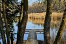 Enten am Egelsee