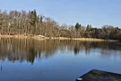 Egelsee im Frühling
