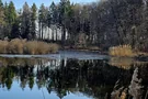 Egelsee mit Schilf