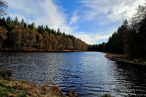 Fotos vom Langweiher