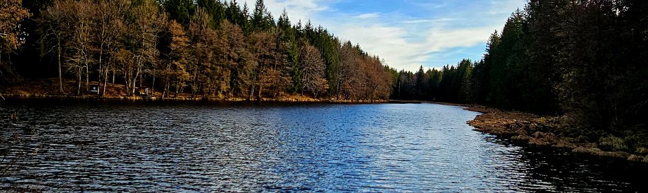 Langweiher Headmotiv