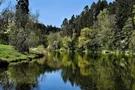 Mahlweiher im Frühling