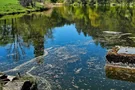 Mahlweiher mit Wehr